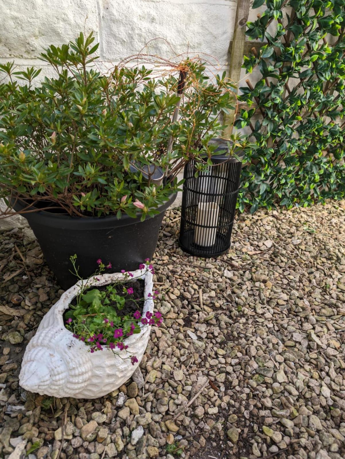 Coastal Penarth Dream! Close To Cardiff Superb Location Near Bars And Restaurants! Dog Friendly And Welcome Breakfast Pack! Luaran gambar